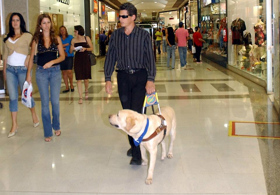 PERRO GUIA