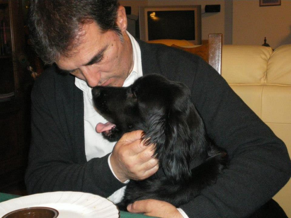 PERRO DE SEÑAL