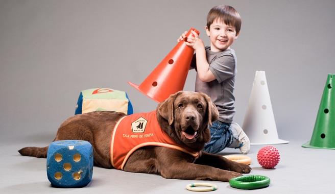 PERRO PARA AUTISMO