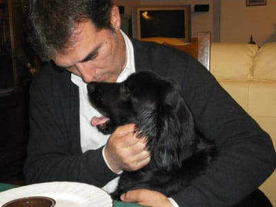 PERRO DE SEÑAL