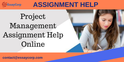How to tackle a project management assignment in college?