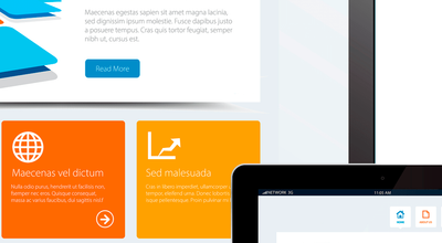 Website Design Delhi NCR to Online Business