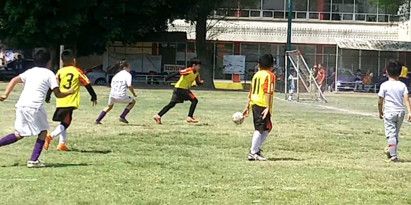 MONARCAS TOLA