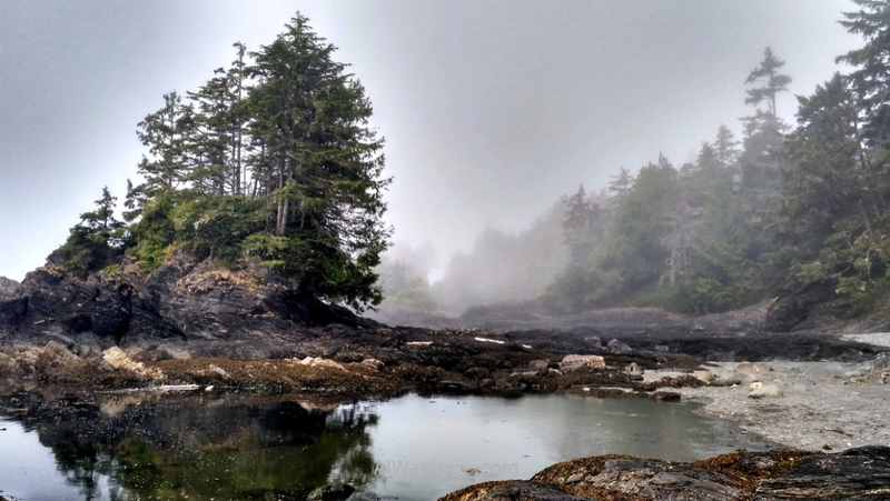 PORT RENFREW