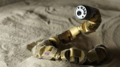 Snake Robots: Can You Watch This Without Squirming?