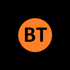 Bilgin Teknik