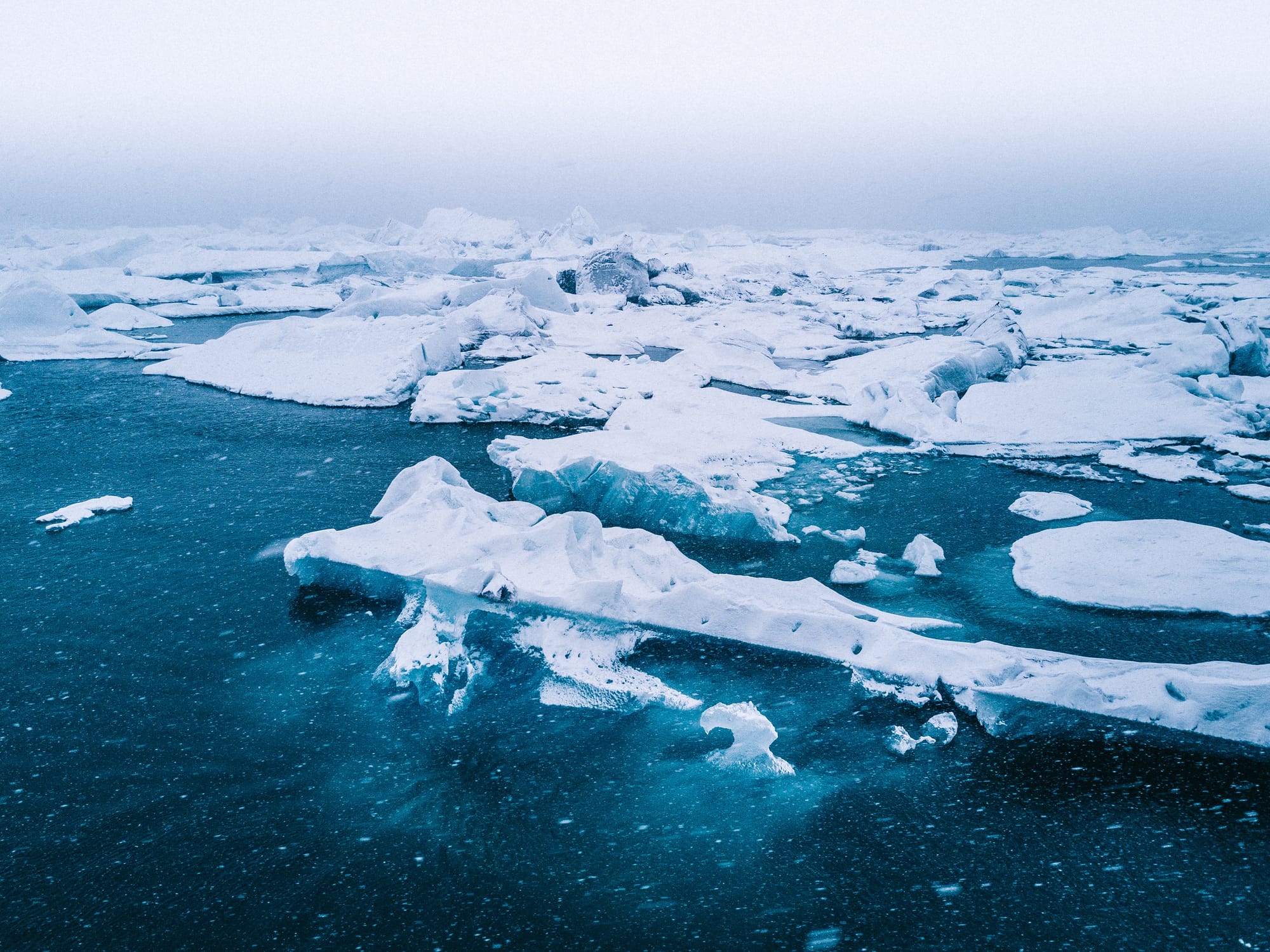 ARCTIC AT RISK