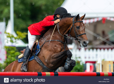 Sobre nosotros image