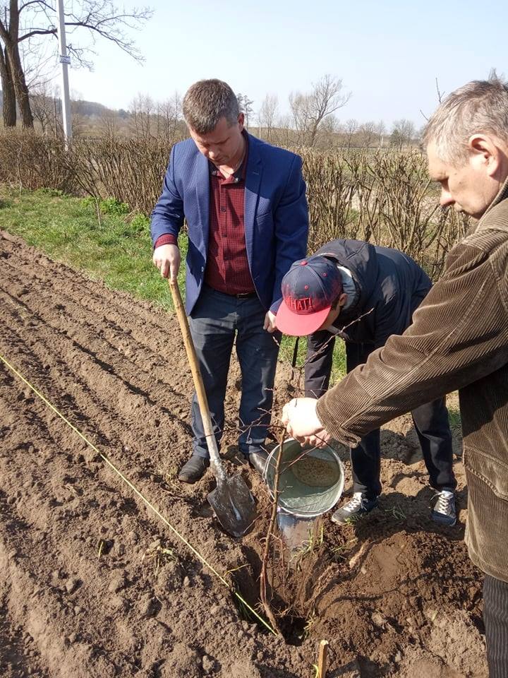 Буде новий яблуневий сад біля школи!