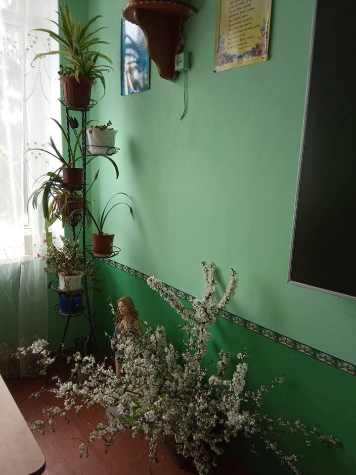 Конкурс на краще озеленення класної кімнати