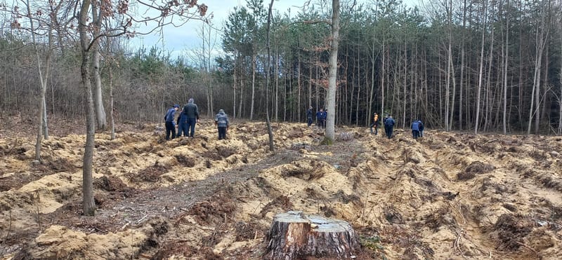 участь в акції «Зелена країна»