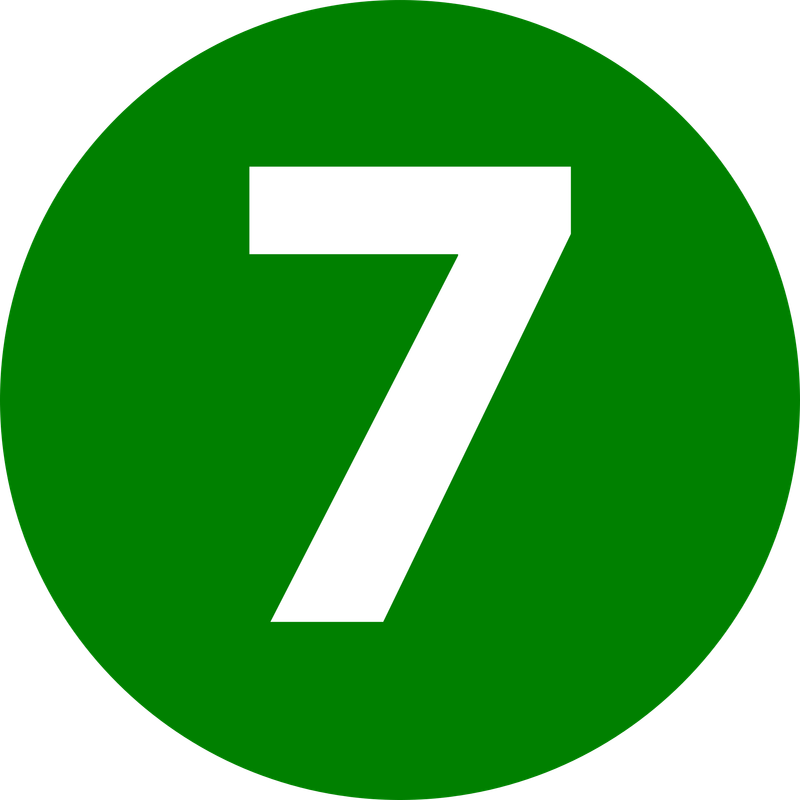 7th WEEK