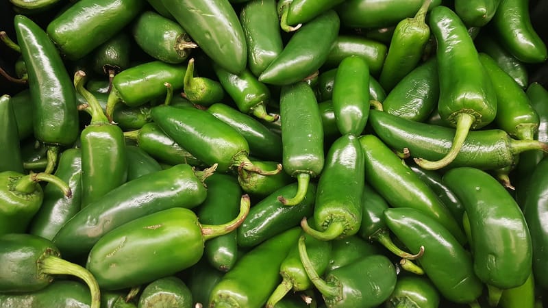 Jalapeno Salsa