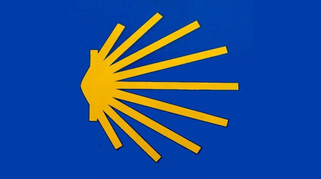 Rosca de Reyes Enero 2019