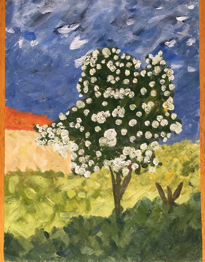 15 Camino Virtual El Camino Francés Sarria por Tere