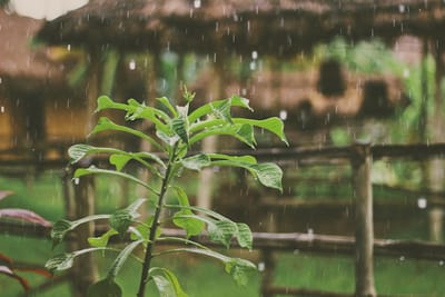 O nas image