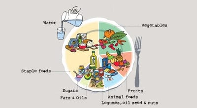 Learn how good food can improve your health