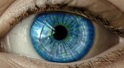 Consultation naturopathique image