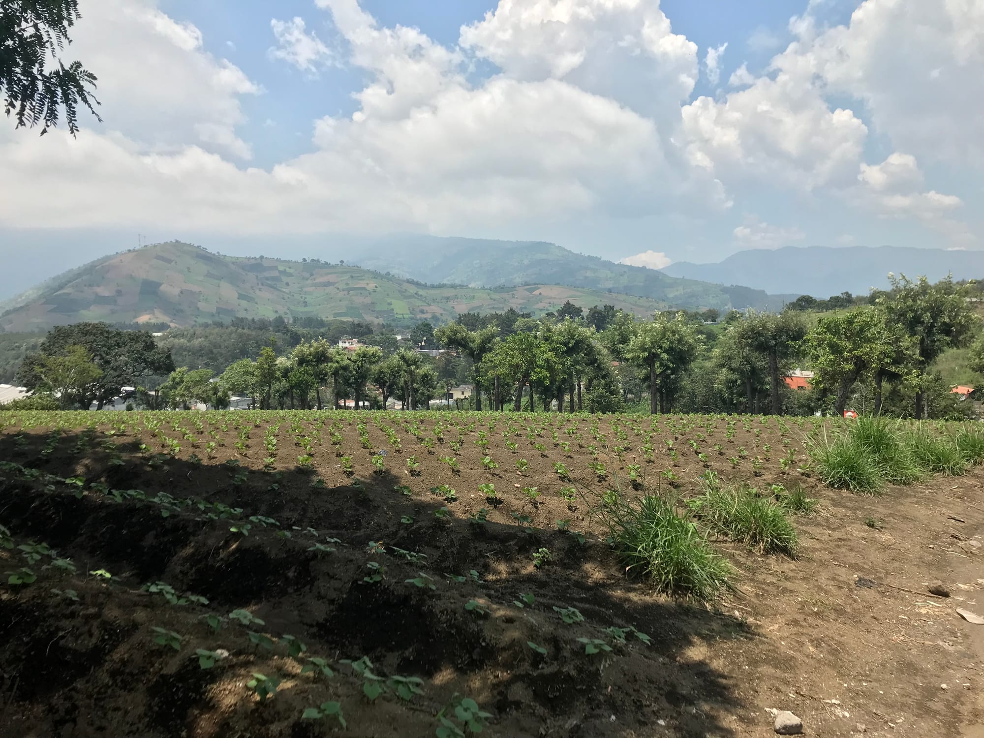 Caminando Con Amigas