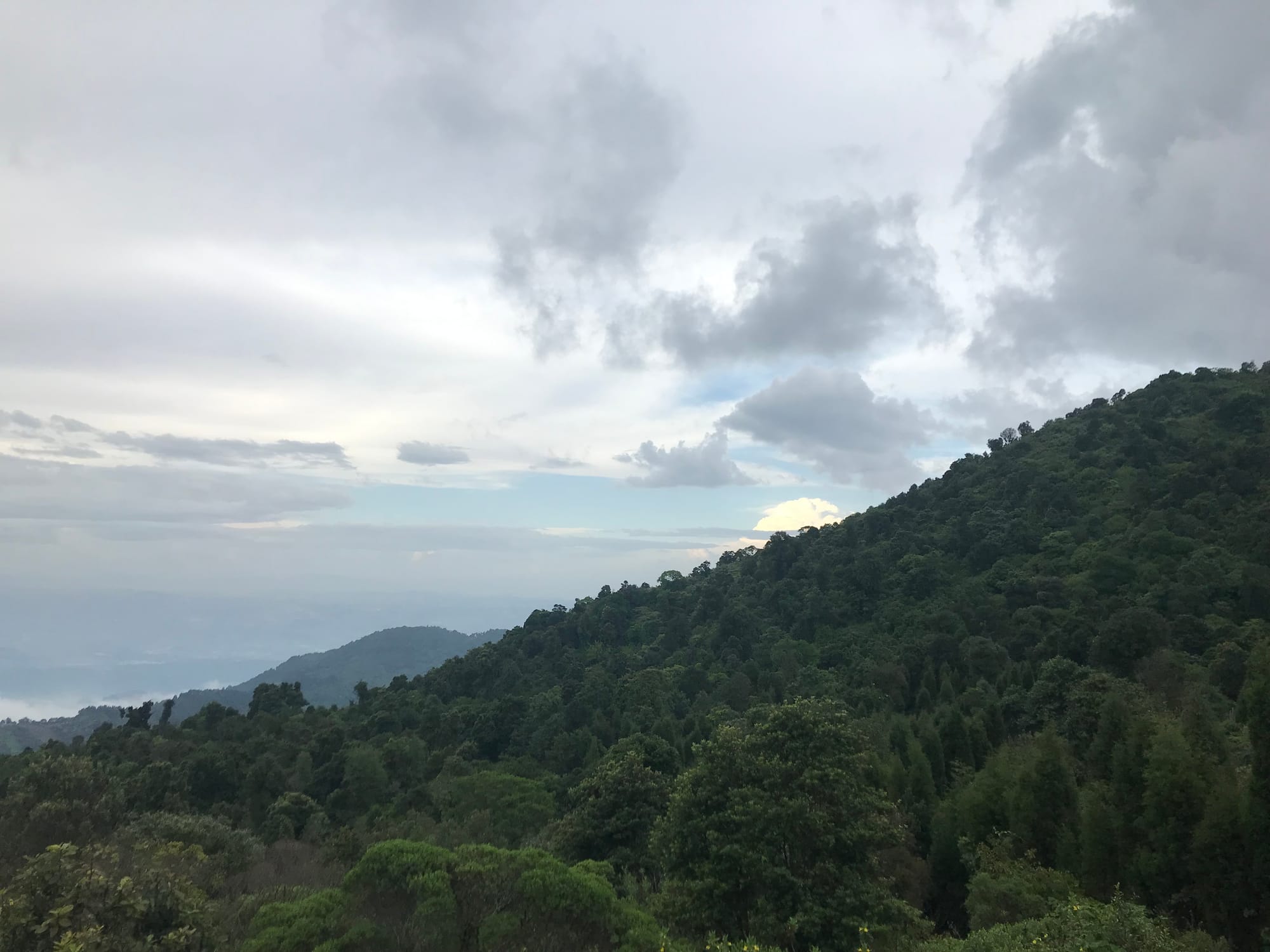 Volcán de Pacaya