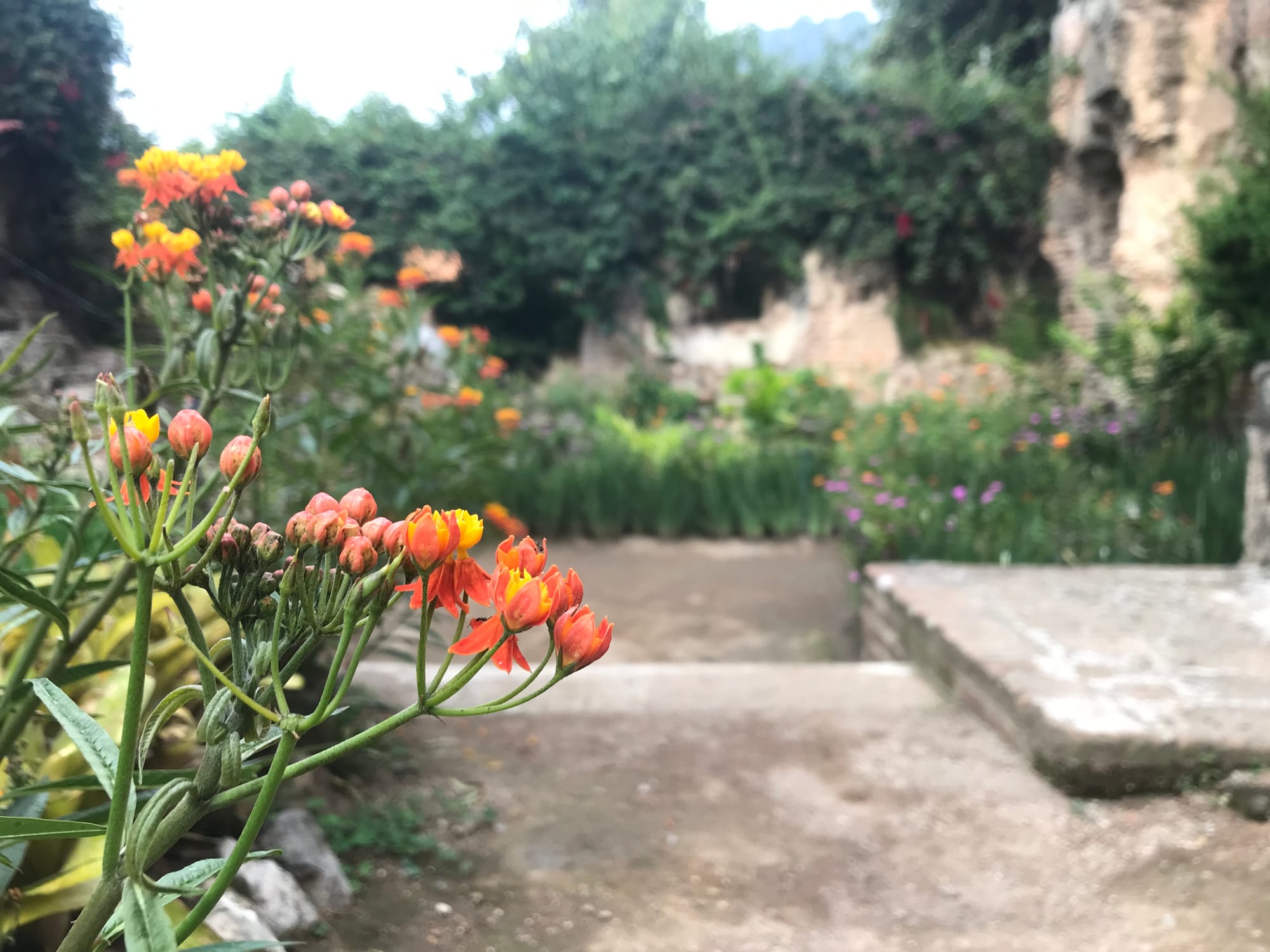 Las Ruinas de San Francisco