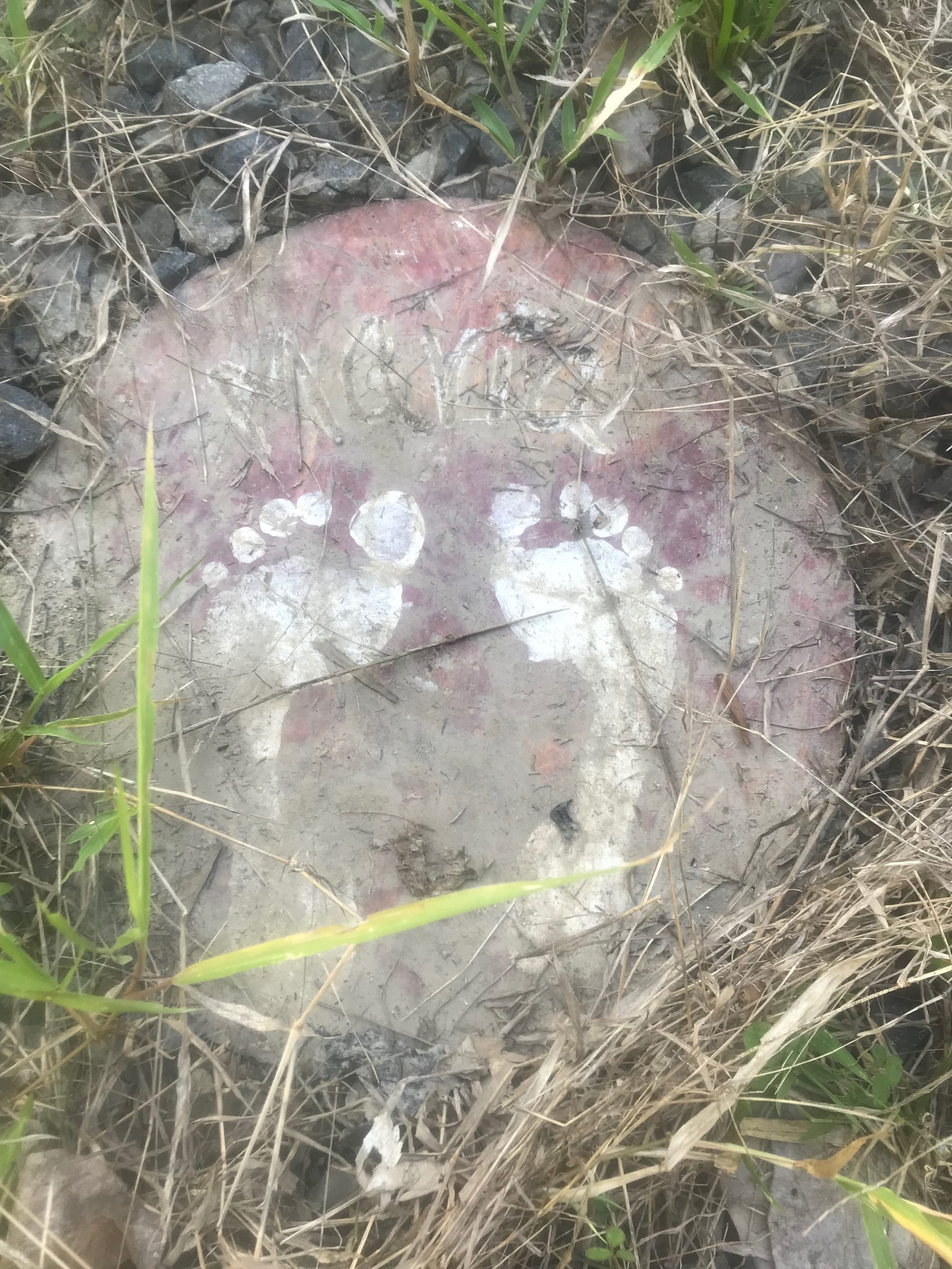 Feet Stepping Stones