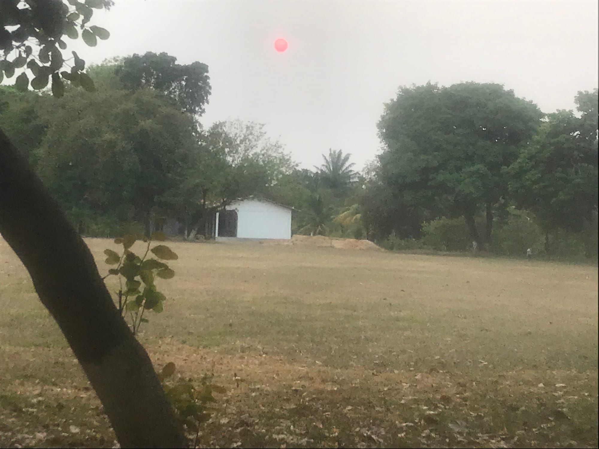 Red Sun...again