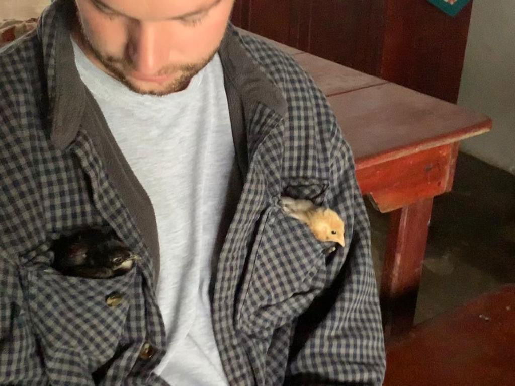 Our Pet Chick: Sarita