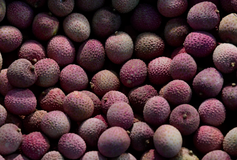 L'énigme de la toxicité du litchi : une préoccupation sanitaire émergente en Asie du Sud / The enigma of litchi toxicity: an emerging health concern in southern Asia
