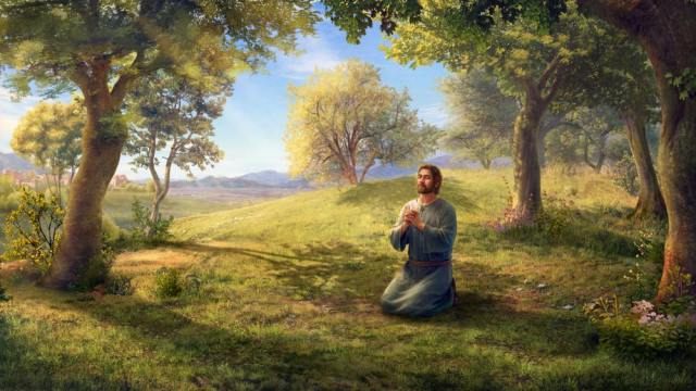 The Experiences of Peter: His Knowledge of Chastisement and Judgment