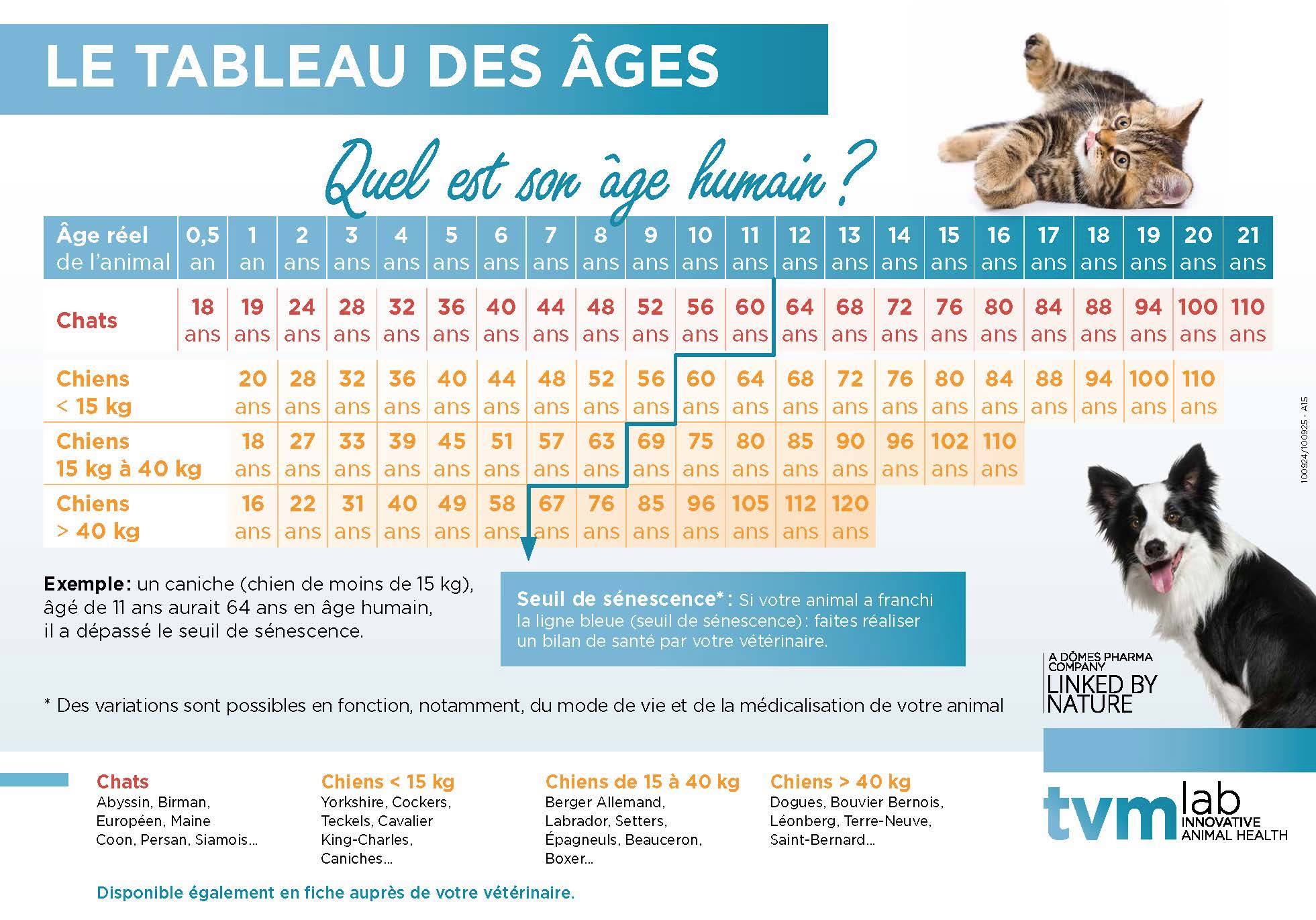 L'age humain de nos chats