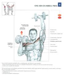 Shoulder Press