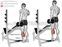 Calf Raises