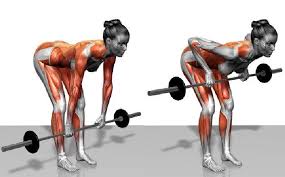 Bent-over Bar Bell Row