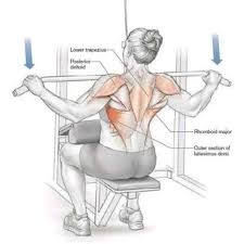 WIDE-GRIP LAT PULLDOWN