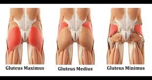 Glutes