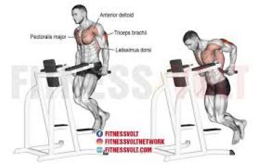 Tricep-dips