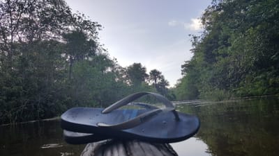 Why choose MonStar Vibe image