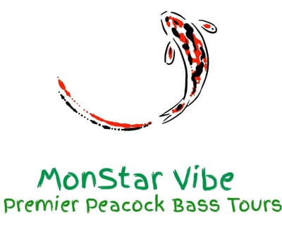 MonStar Vibe