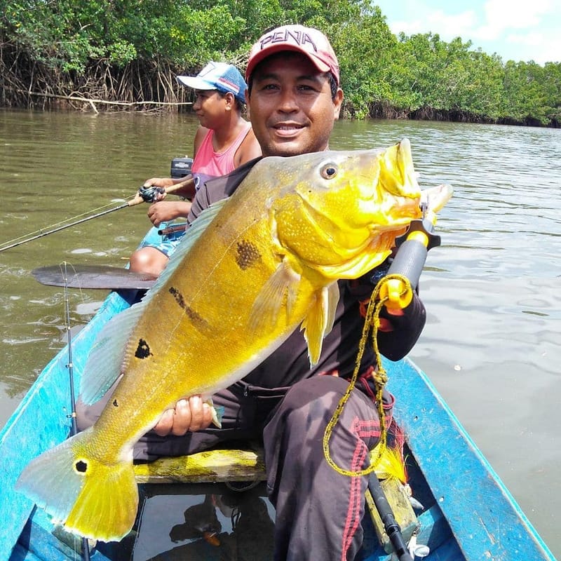 All you can fish for 5 days!