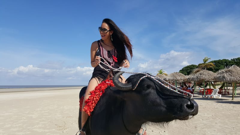 Destination - Ilha Do Marajo