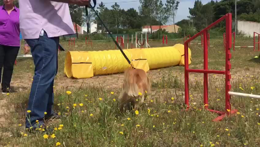 Agility