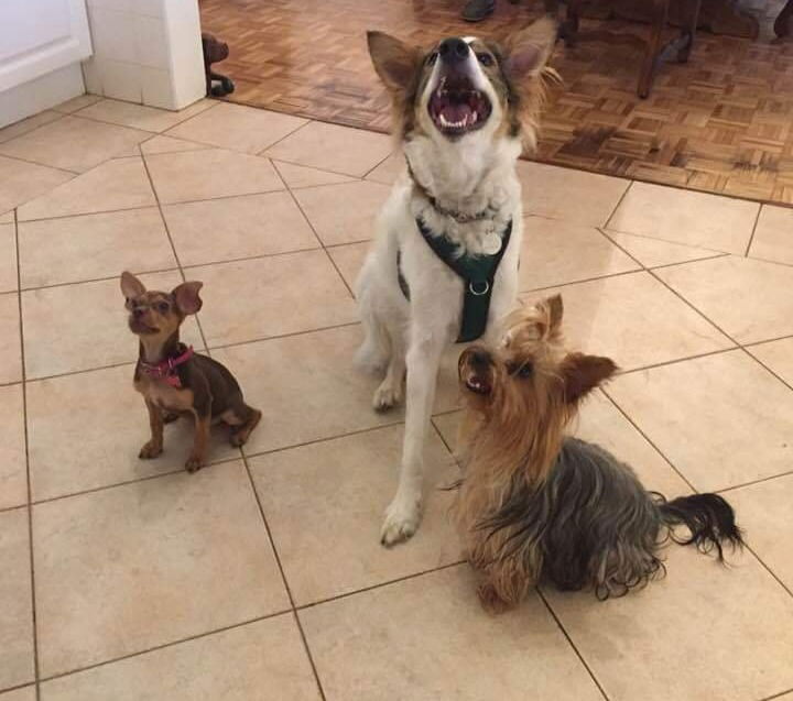 Private 1-2-1 Training