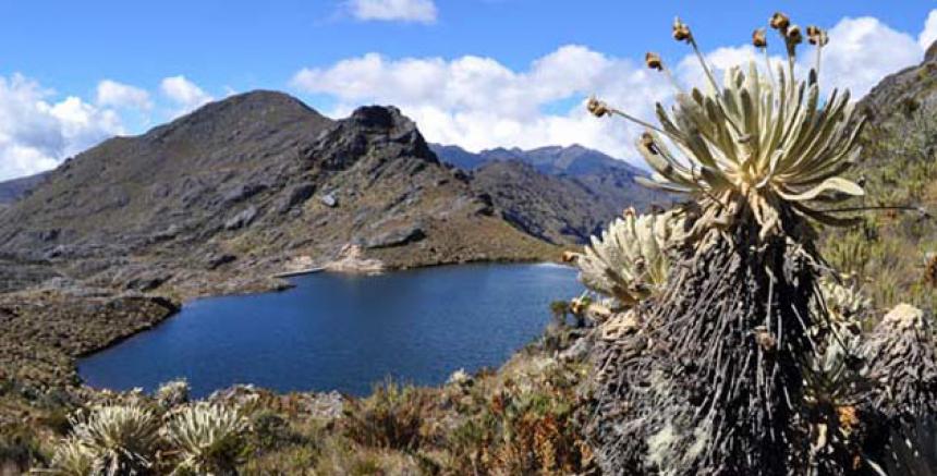 El páramo de Santurbán