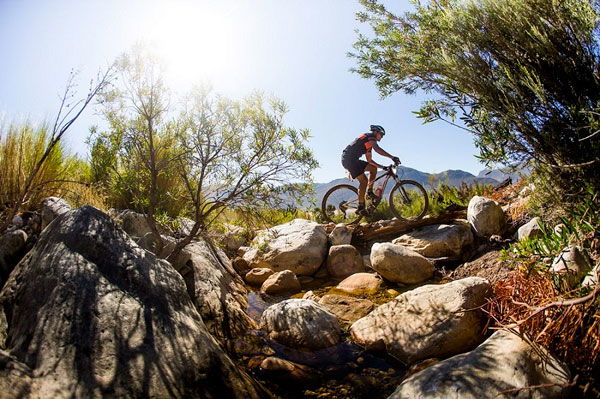 Cyclling / Trail running