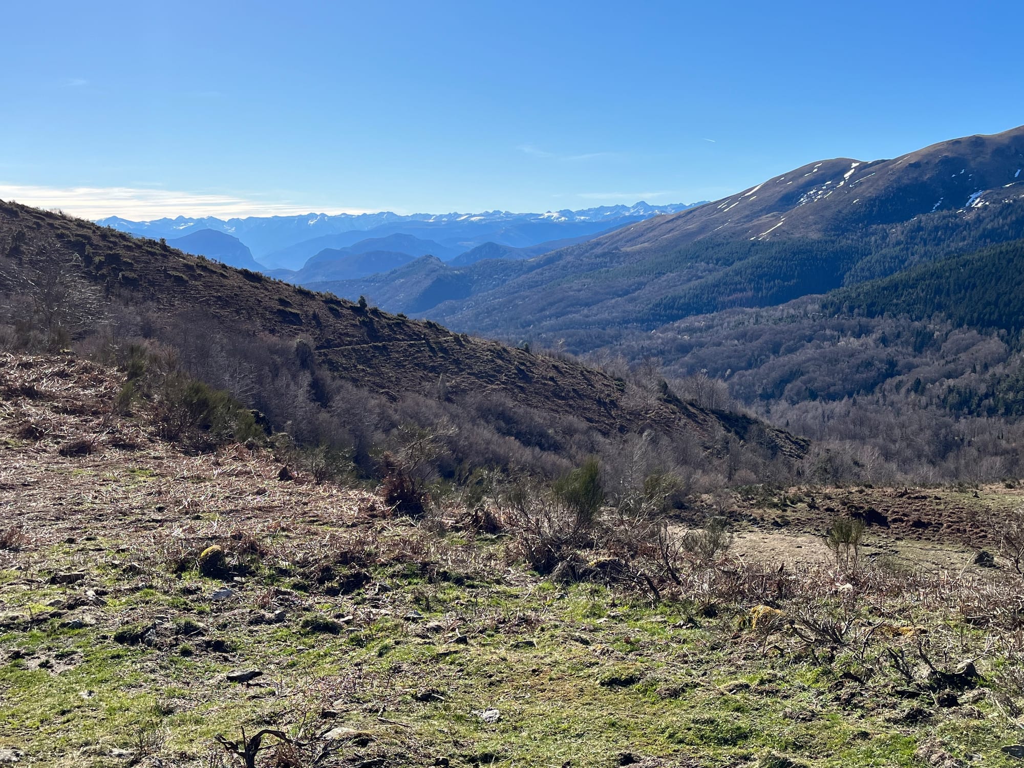 DÉVELOPPEMENT D'ACTIVITÉS DE PLEINE NATURE