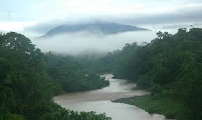 Lugares donde se localiza un bosque tropical