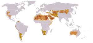 Lugares donde se encuentran las zonas desérticas