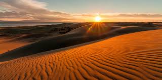 Suelo de un desierto