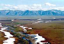 Suelo de la tundra
